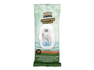Салфетки влажные GOLDEN SNAIL для рук, с клапаном (30шт.)